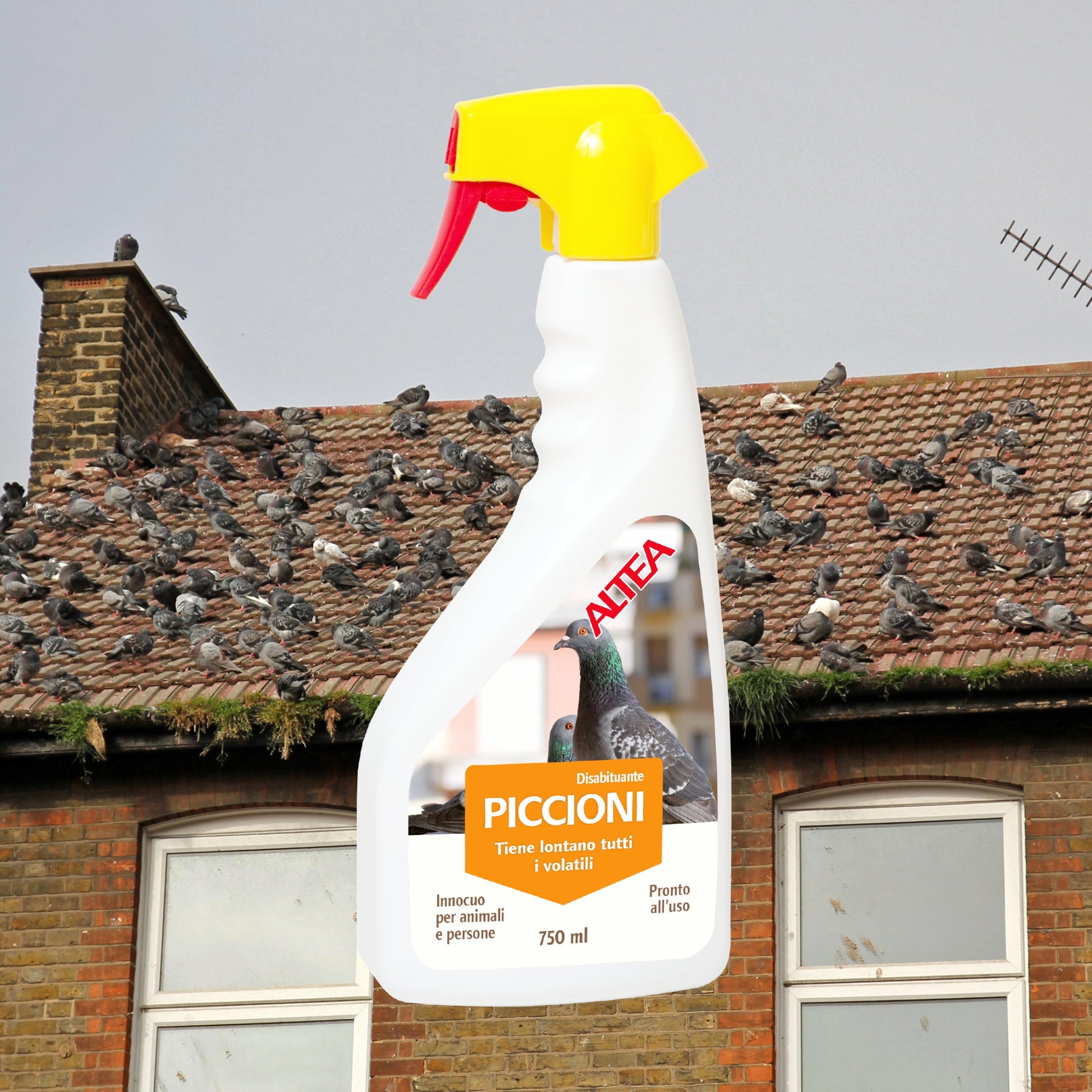Altea disabituante per piccioni pronto all'uso spray 750 ml