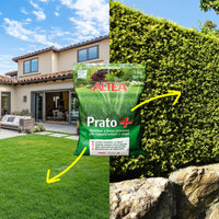 Altea concime per prato Prato + sacco da 5 kg