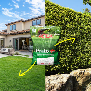 Altea concime per prato Prato + sacco da 5 kg