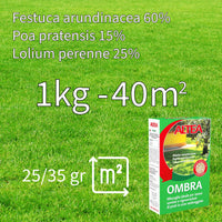Altea semi per prato ombra kg 1