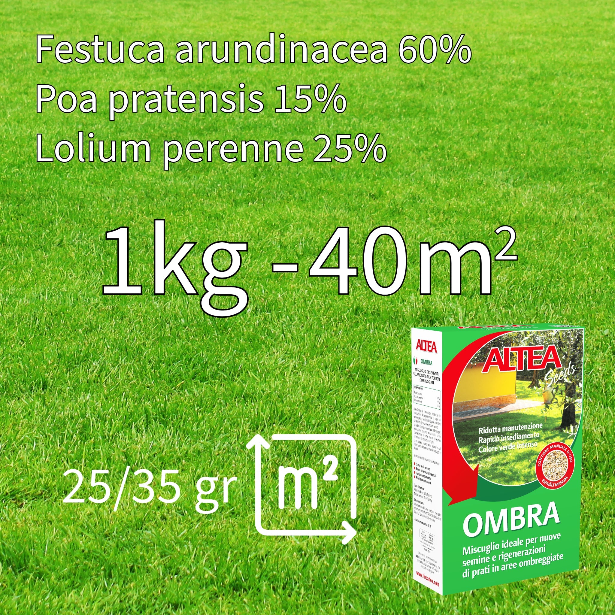Altea semi per prato ombra kg 1