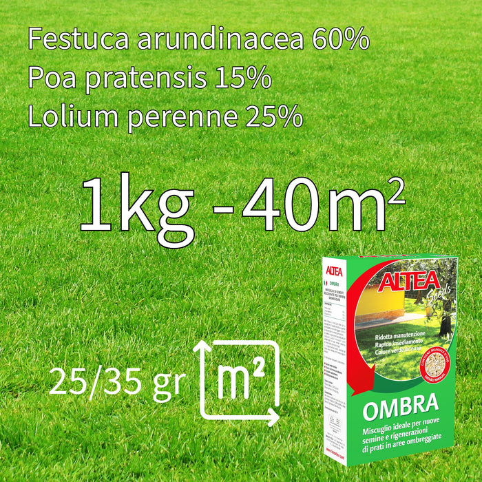 Altea semi per prato ombra kg 1