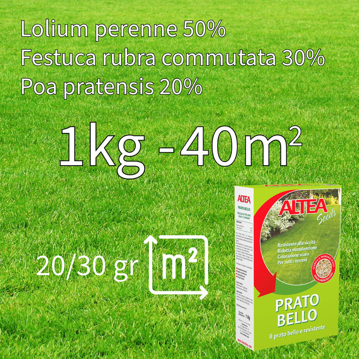 Altea Prato Bello semi per prato normale kg 1