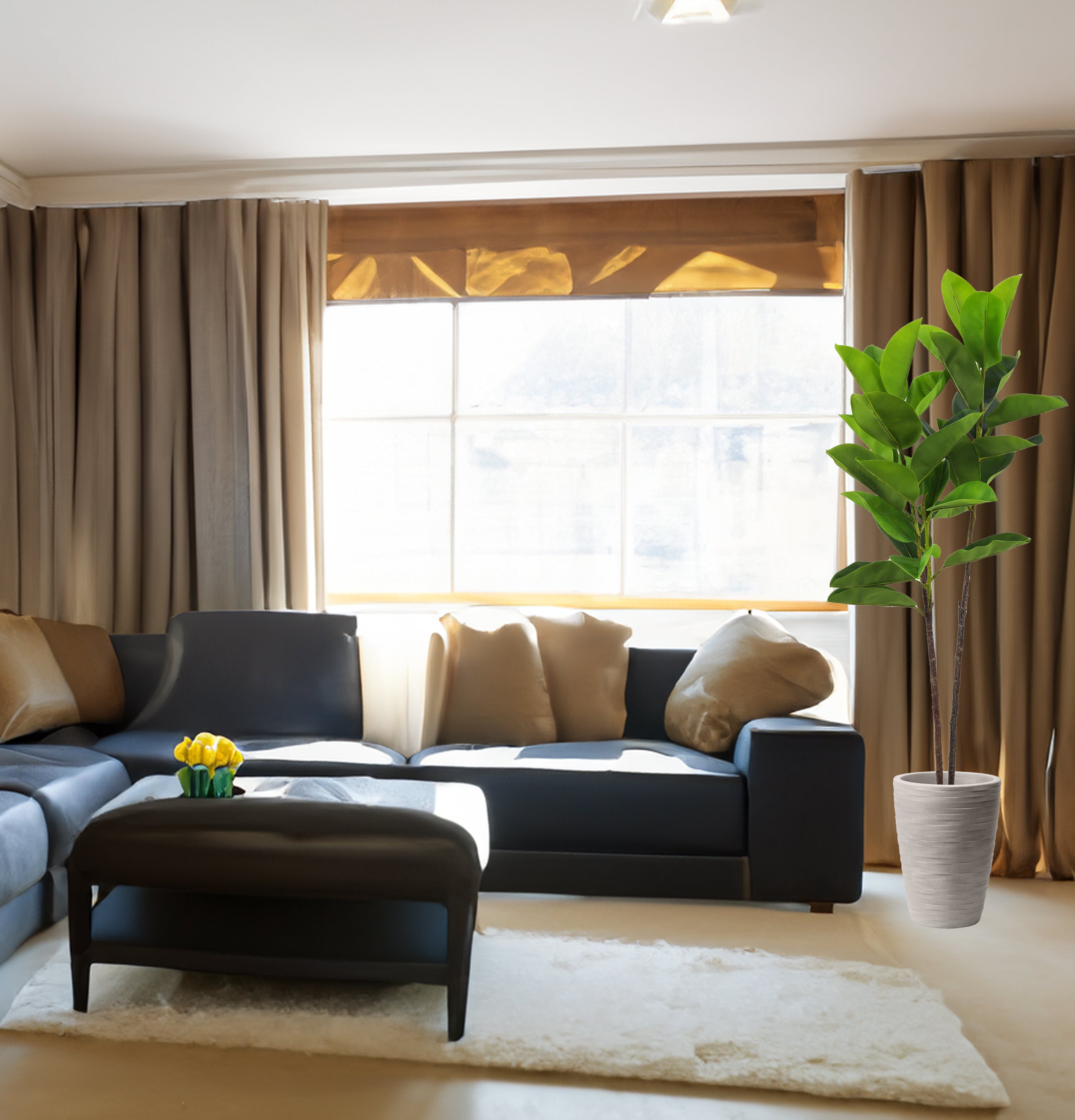 Pianta Ficus Elastica 140 cm