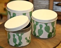 Cofanetti In Latta Cactus Set 3 Pz Cm  Ø 15X13.5-14X11.5-12.5X10