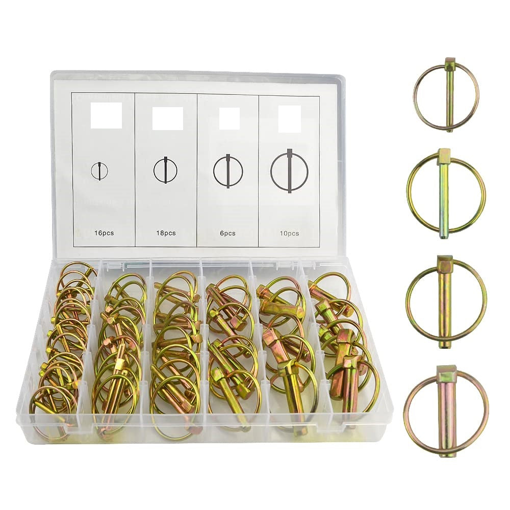 ASSORTIMENTO 50 SPINE SPINA A SCATTO COPPIGLIE FERMI PERNI SPINOTTI