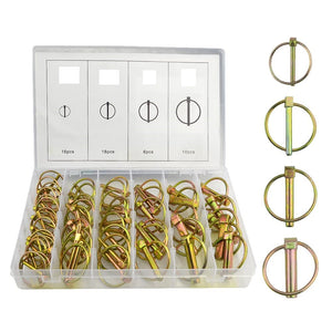 ASSORTIMENTO 50 SPINE SPINA A SCATTO COPPIGLIE FERMI PERNI SPINOTTI