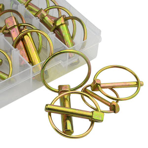 ASSORTIMENTO 50 SPINE SPINA A SCATTO COPPIGLIE FERMI PERNI SPINOTTI