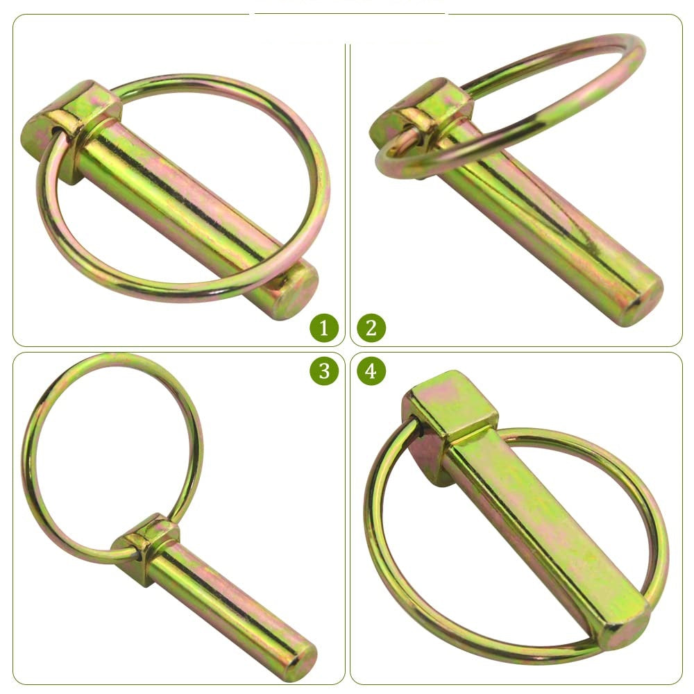 ASSORTIMENTO 50 SPINE SPINA A SCATTO COPPIGLIE FERMI PERNI SPINOTTI