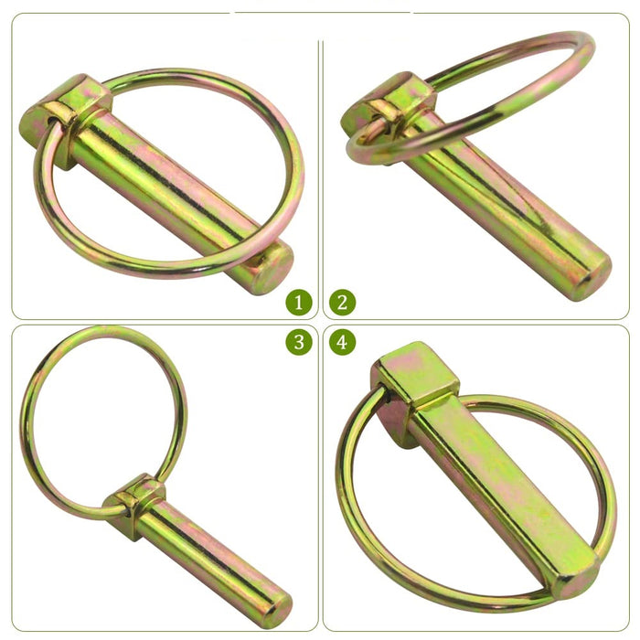 ASSORTIMENTO 50 SPINE SPINA A SCATTO COPPIGLIE FERMI PERNI SPINOTTI