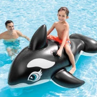 58561NP - Cavalcabile Orca Cm 193X119