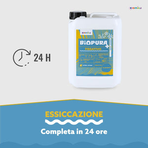 Fissativo antimuffa anticondensa alta concentrazione linea biopura cromika *** formato 5 lt, confezione 1