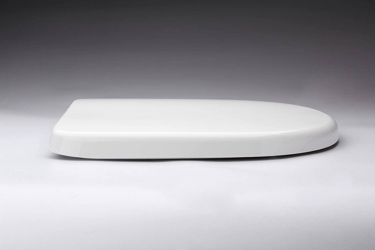 Sedile wc da bagno con chiusura rallentata e sgancio rapido 19_0000678