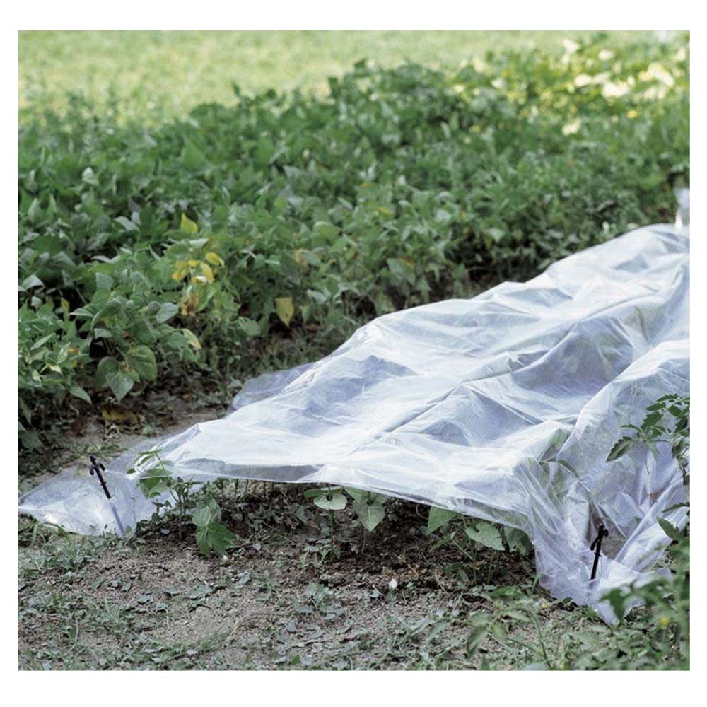 10 teli di protezione per orto in pe trasparente ciascuno metri 2x5 verdemax