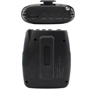 Amplificatore Vocale Portatile Archetto Animatore Usb Radio Fm Spettacoli SK-105