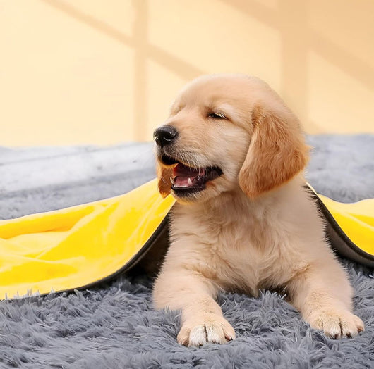 Asciugamano In Microfibra Assorbente Per Cani Gatti Animali 50x100cm EArt.30275