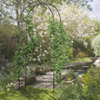 Arco per Rose e Supporto per Piante Rampicanti in Metallo, 114x30x230cm, Nero