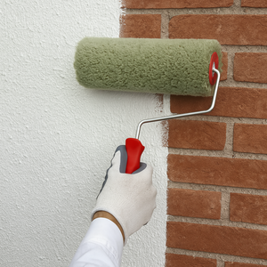 Rullo nylon poliammide verde con manico quarzi pitture minerali superfici ruvide *** misura 20 cm, confezione 1