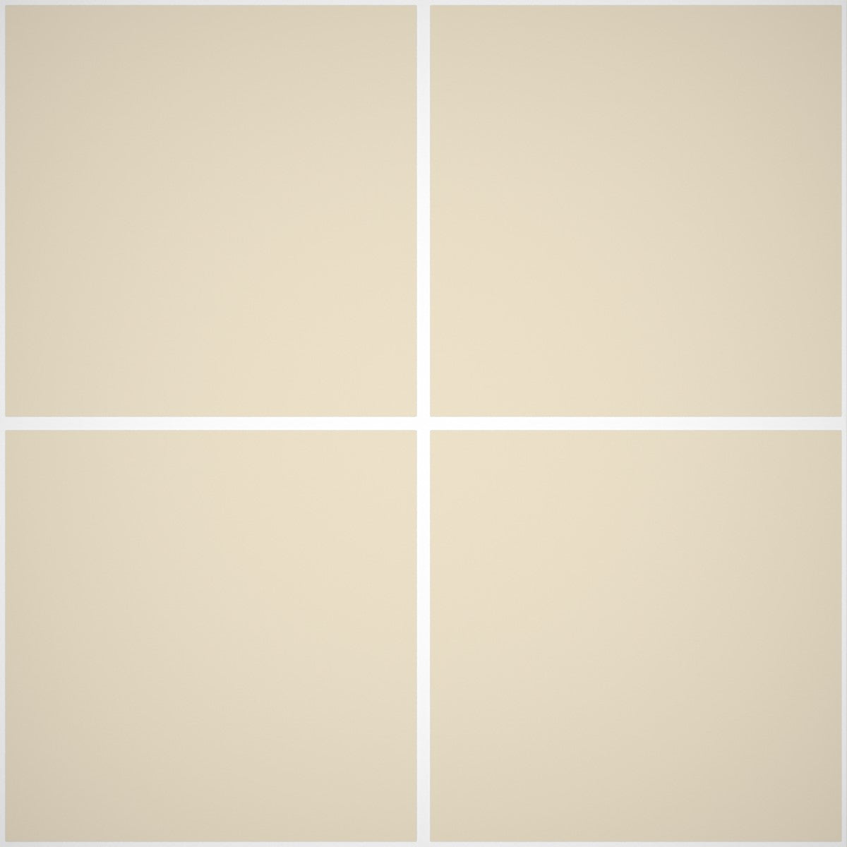 Pittura Murale Acril Silossanico Antialga Esterno - Rivestimenti Esterni B636 - Litri 14