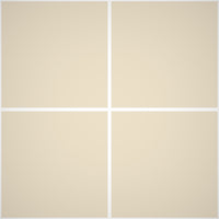 Pittura Murale Acril Silossanico Antialga Esterno - Rivestimenti Esterni B636 - Litri 14