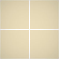 Pittura Murale Acril Silossanico Antialga Esterno - Rivestimenti Esterni B637 - Litri 14