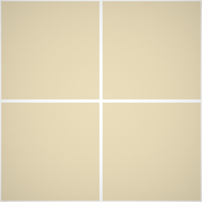 Calce minerale a pennello - Rivestimenti Esterni B637 - Litri 14