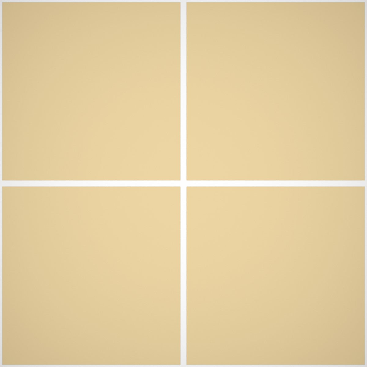 Pittura Murale Acril Silossanico Antialga Esterno - Rivestimenti Esterni B638 - Litri 14