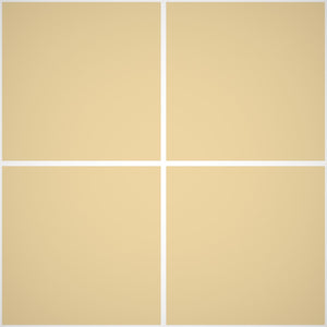 Pittura Murale Acril Silossanico Antialga Esterno - Rivestimenti Esterni B638 - Litri 14