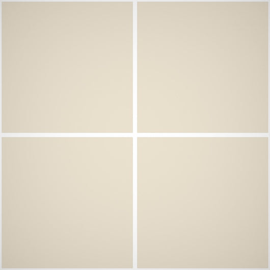 Calce minerale a pennello - Rivestimenti Esterni B646 - Litri 14