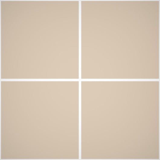 Pittura Murale Acril Silossanico Antialga Esterno - Rivestimenti Esterni B647 - Litri 14