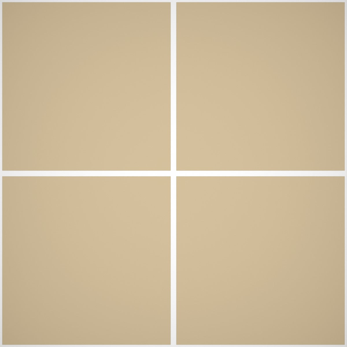 Pittura Murale Acril Silossanico Antialga Esterno - Rivestimenti Esterni B648 - Litri 14