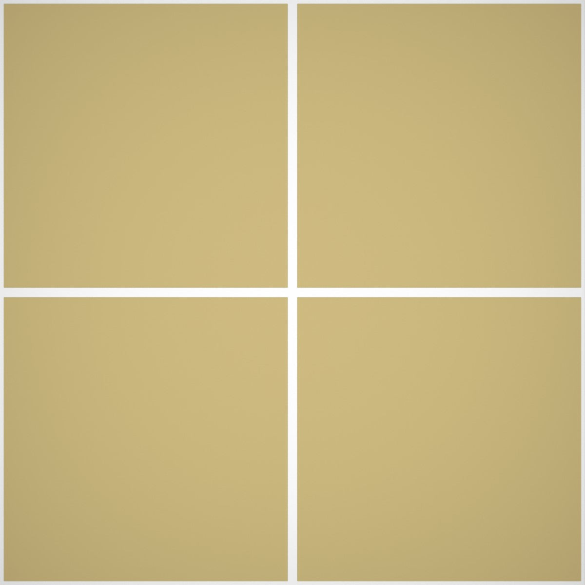 Pittura Murale Acril Silossanico Antialga Esterno - Rivestimenti Esterni B650 - Litri 4