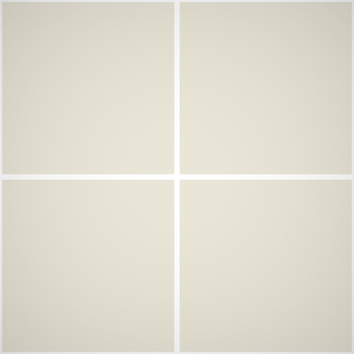 Pittura Murale Acril Silossanico Antialga Esterno - Rivestimenti Esterni B651 - Litri 14