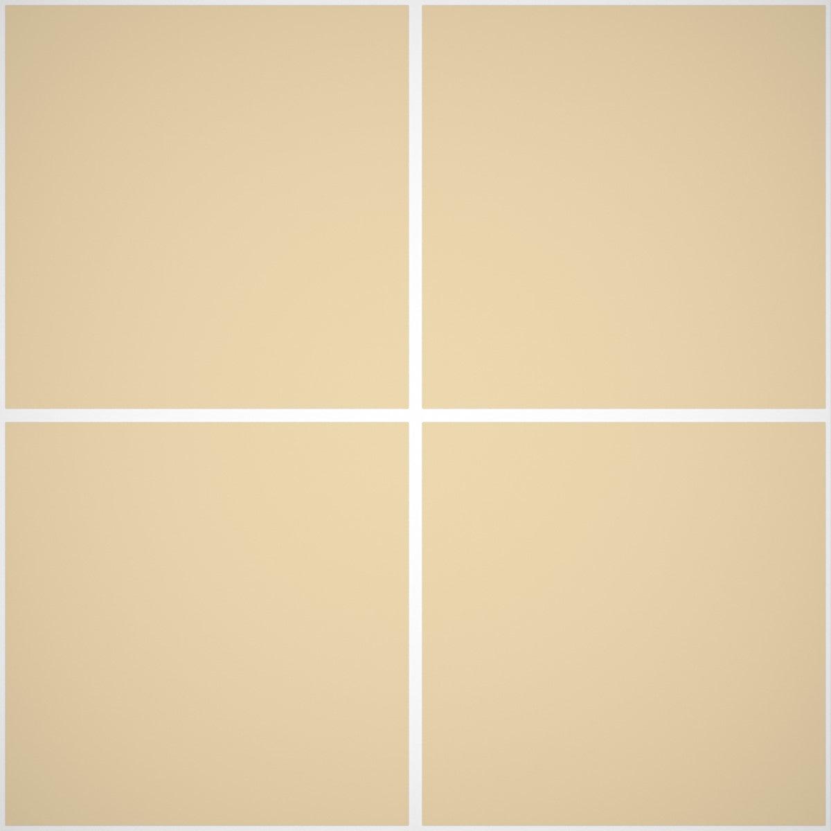 Pittura Murale Acril Silossanico Antialga Esterno - Rivestimenti Esterni B653 - Litri 4