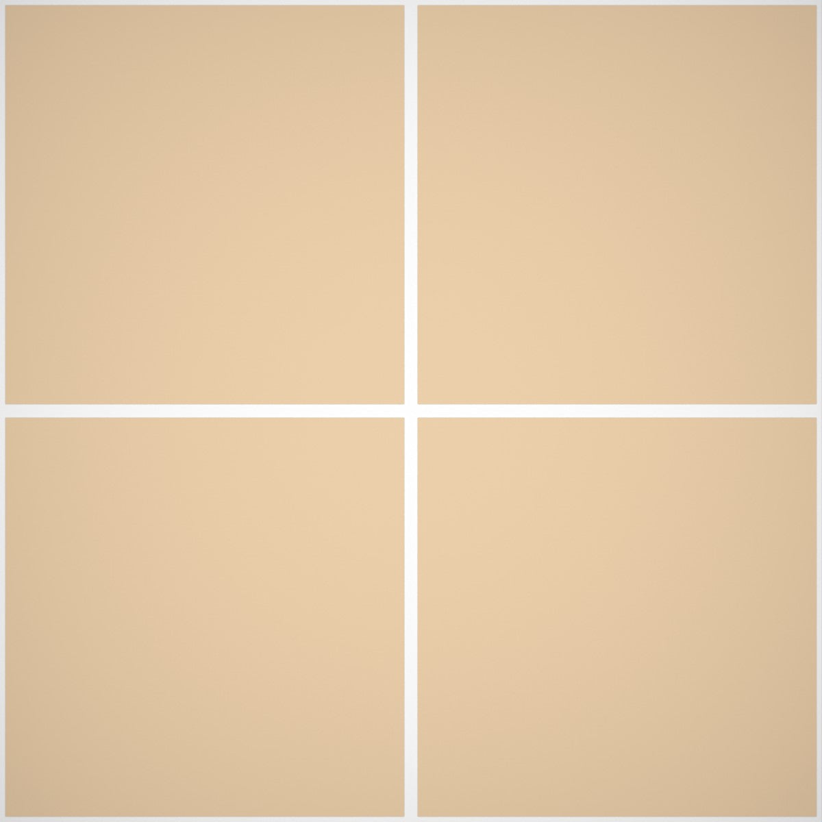 Pittura Murale Acril Silossanico Antialga Esterno - Rivestimenti Esterni B654 - Litri 14