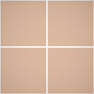 Pittura Murale Acril Silossanico Esterno - Rivestimenti Esterni B666 - Litri 14