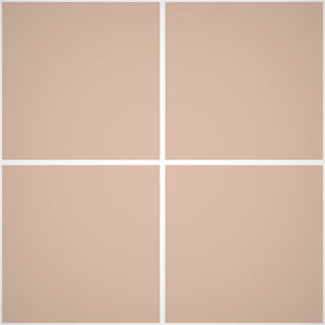 Pittura Murale Acril Silossanico Antialga Esterno - Rivestimenti Esterni B672 - Litri 4