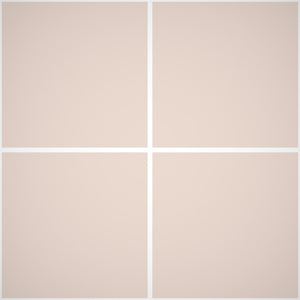 Pittura Murale Acril Silossanico Antialga Esterno - Rivestimenti Esterni B676 - Litri 4