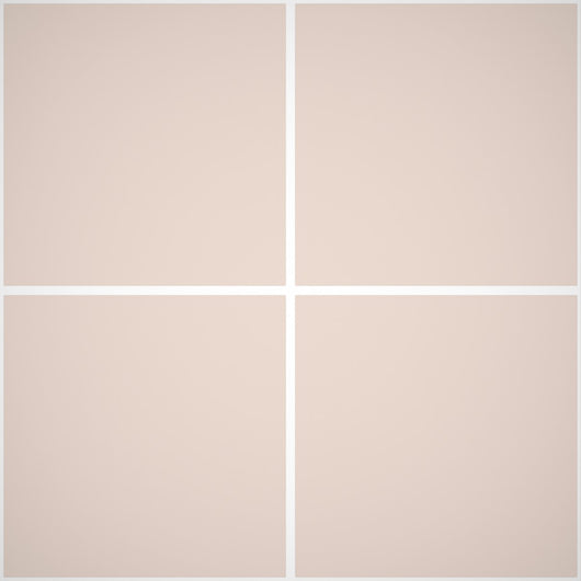 Pittura Murale Acril Silossanico Antialga Esterno - Rivestimenti Esterni B676 - Litri 14