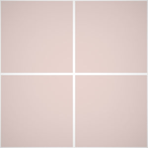 Pittura Murale Acril Silossanico Antialga Esterno - Rivestimenti Esterni B692 - Litri 14