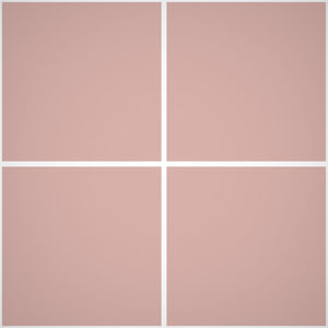 Pittura Murale Acril Silossanico Antialga Esterno - Rivestimenti Esterni B703 - Litri 14