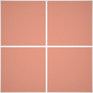 Pittura Murale Acril Silossanico Esterno - Rivestimenti Esterni B708 - Litri 14