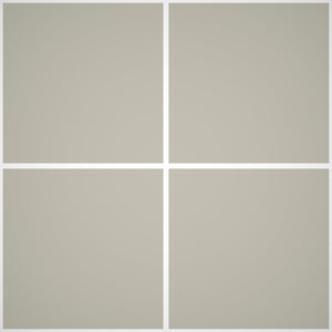 Pittura Murale Acril Silossanico Antialga Esterno - Rivestimenti Esterni B725 - Litri 14