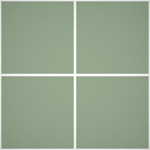 Pittura Murale Acril Silossanico Antialga Esterno - Rivestimenti Esterni B735 - Litri 14