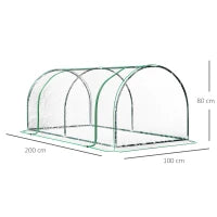 Serra da giardino a Tunnel in Acciaio e con Copertura in PVC, 200x100x80 cm, Trasparente e Verde