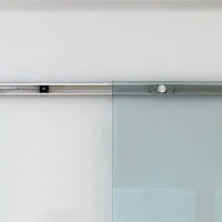 Porte Scorrevoli in Vetro Satinato da Interni con Binario B3 in Alluminio per Bagno Cucina Studio 205x90x0,8cm