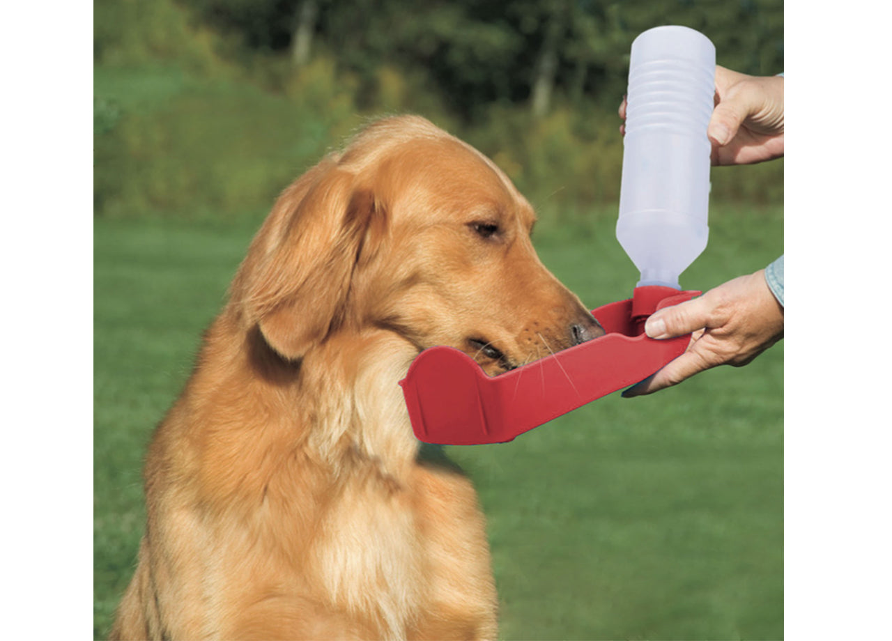 Beverino Portatile Abbeveratoio Per Cani E Gatti Modello Doggy - Medio - Beverino