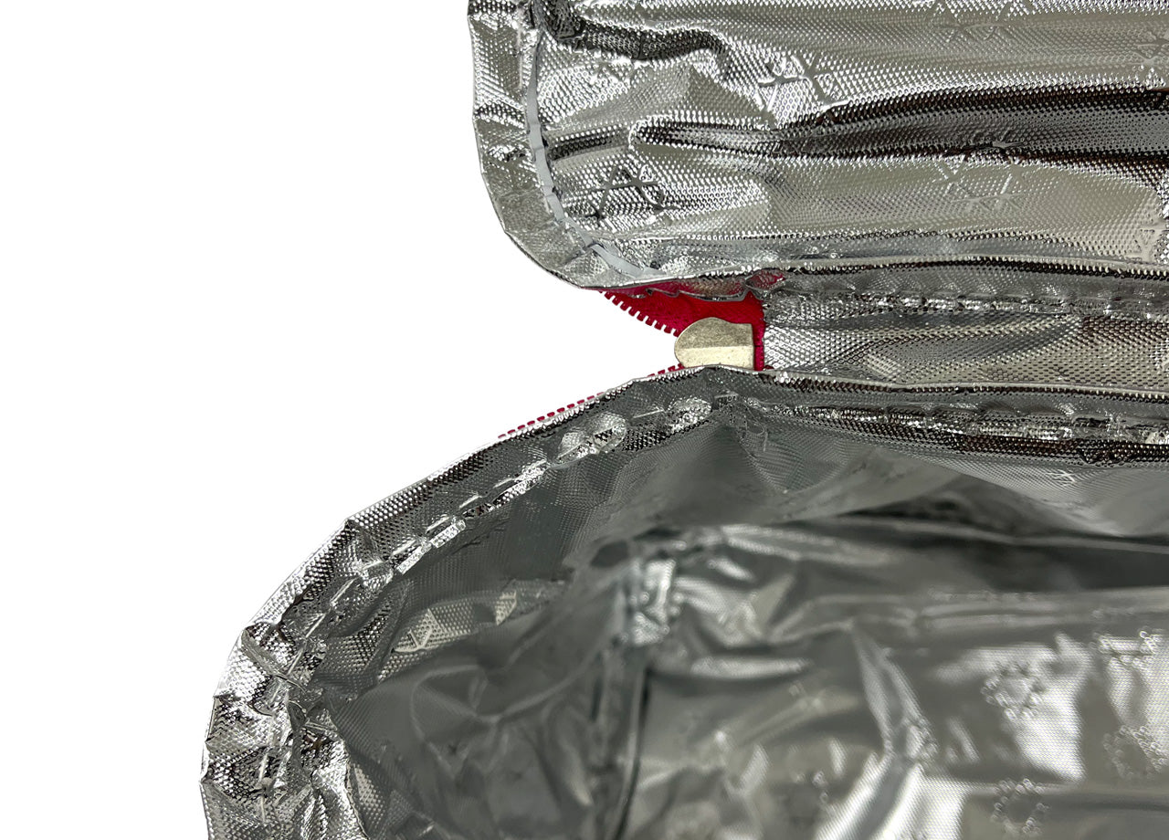 Borsa Termica Frigo Porta Pranzo Spiaggia Lavoro Scuola Modello Fresh Break - 6L - Fucsia