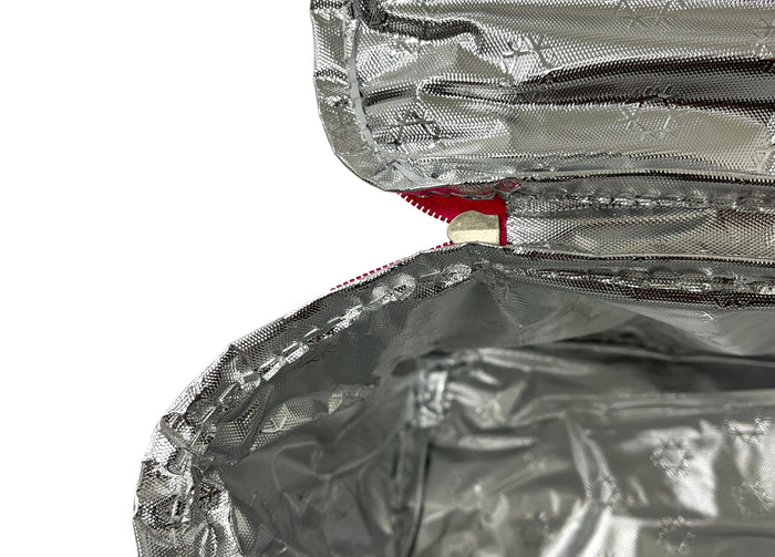 Borsa Termica Frigo Porta Pranzo Spiaggia Lavoro Scuola Modello Fresh Break - 6L - Fucsia