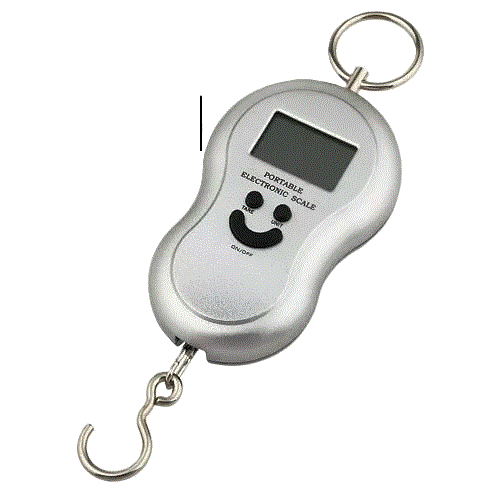 Bilancia da Viaggio 40KG Pesa Valigia Valigie Bagagli Digitale Portatile LCD